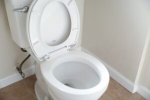 open toilet bowl seen by fibroids constipation sufferers